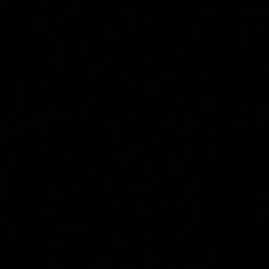 Meet your Posher, Warren